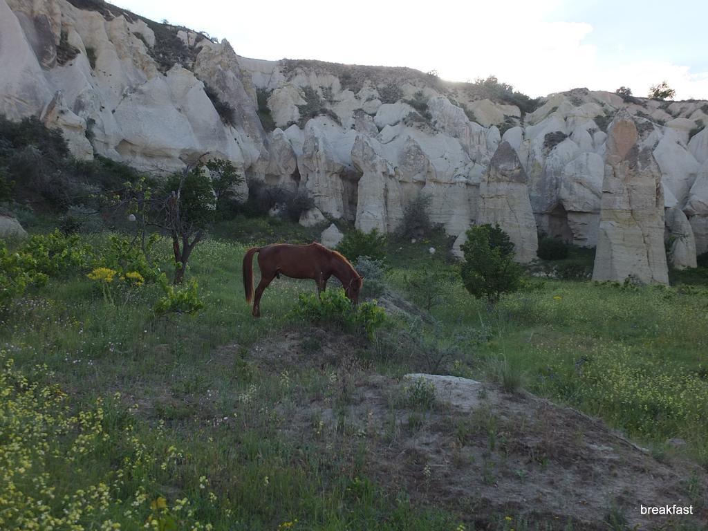 Anatolia Cave Hotel Pension Göreme Buitenkant foto